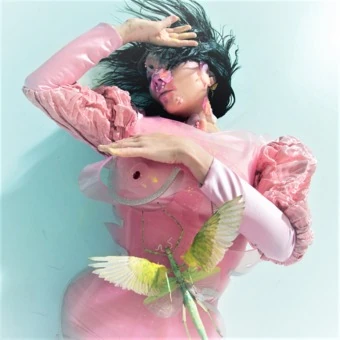 Björk Radio